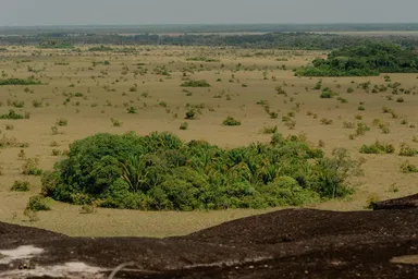 Eastern Savannas