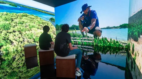 Screenshot 2025 05 28 113931