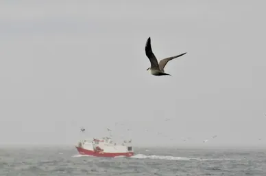 migracion07.jpg