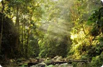Image by WCS