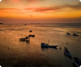 Image by Contact : starigan@wcs.org (Sukma)/ drahmawati@wcs.org (Ditta)/ rrimayanti@wcs.org (Ratih)