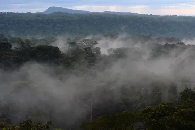 Putumayo