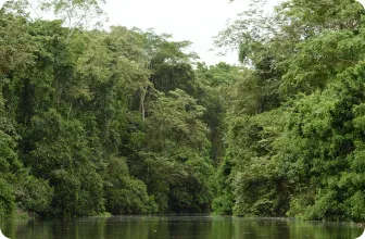 Image by psalcedo@wcs.org
