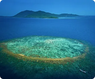 Image by WCS