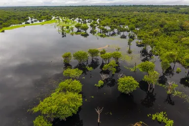 Lower Río Negro