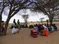 HIrola Conservation Programme