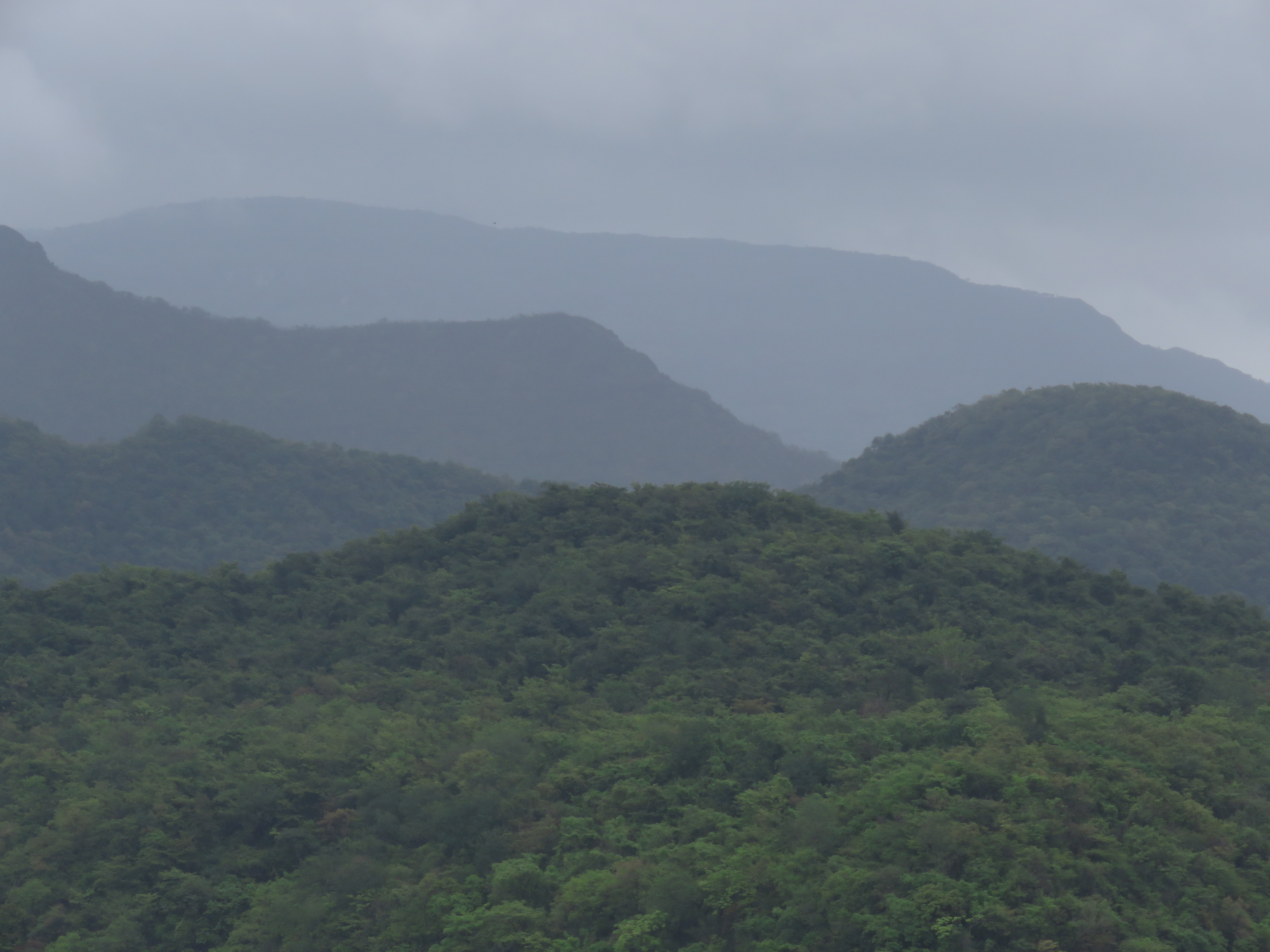 Prachitgad Community Reserve-01.JPG