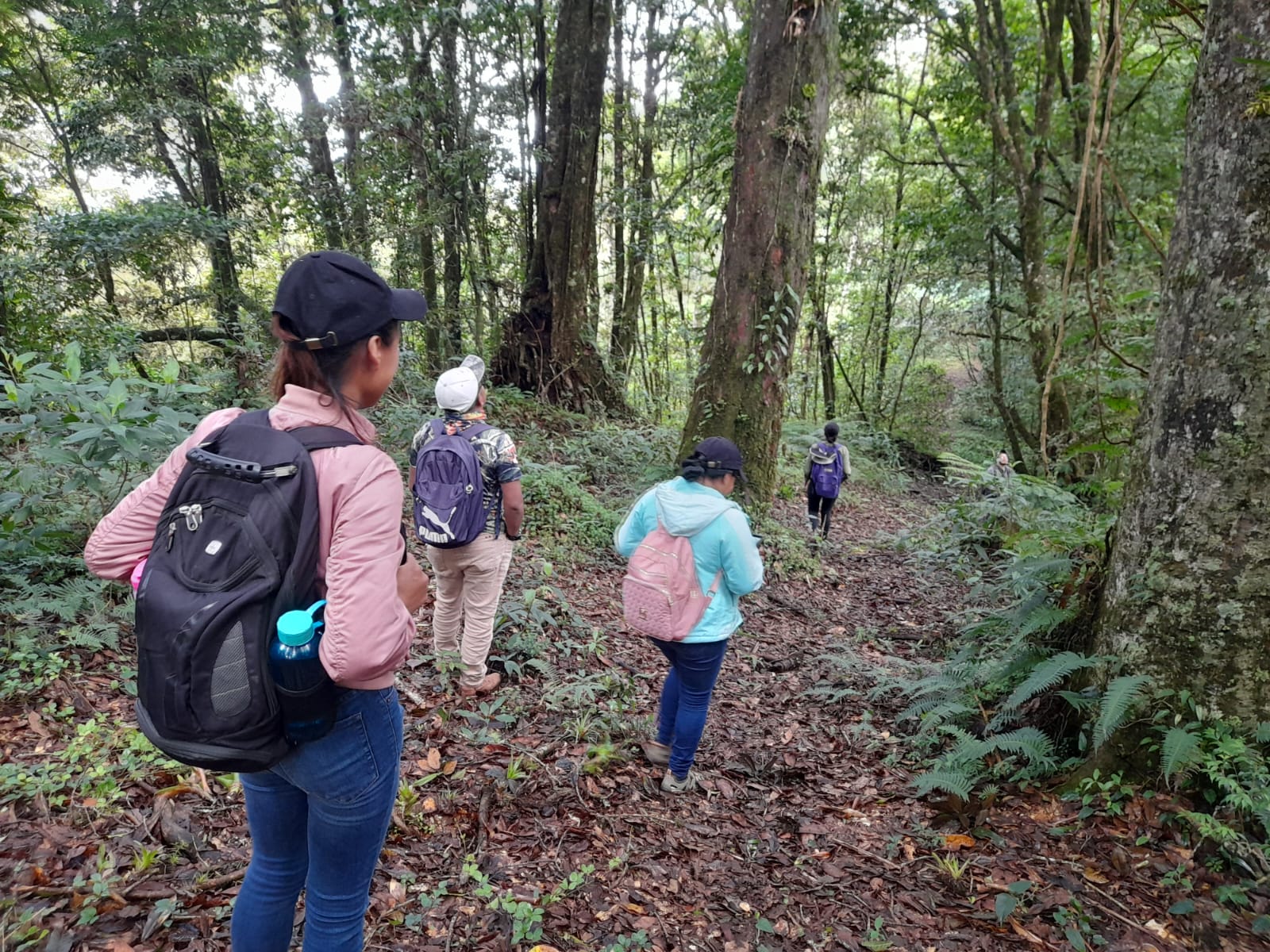 Monitoreo Biológico en Las Trancas, opatoro, La Paz, HN (2).jpeg