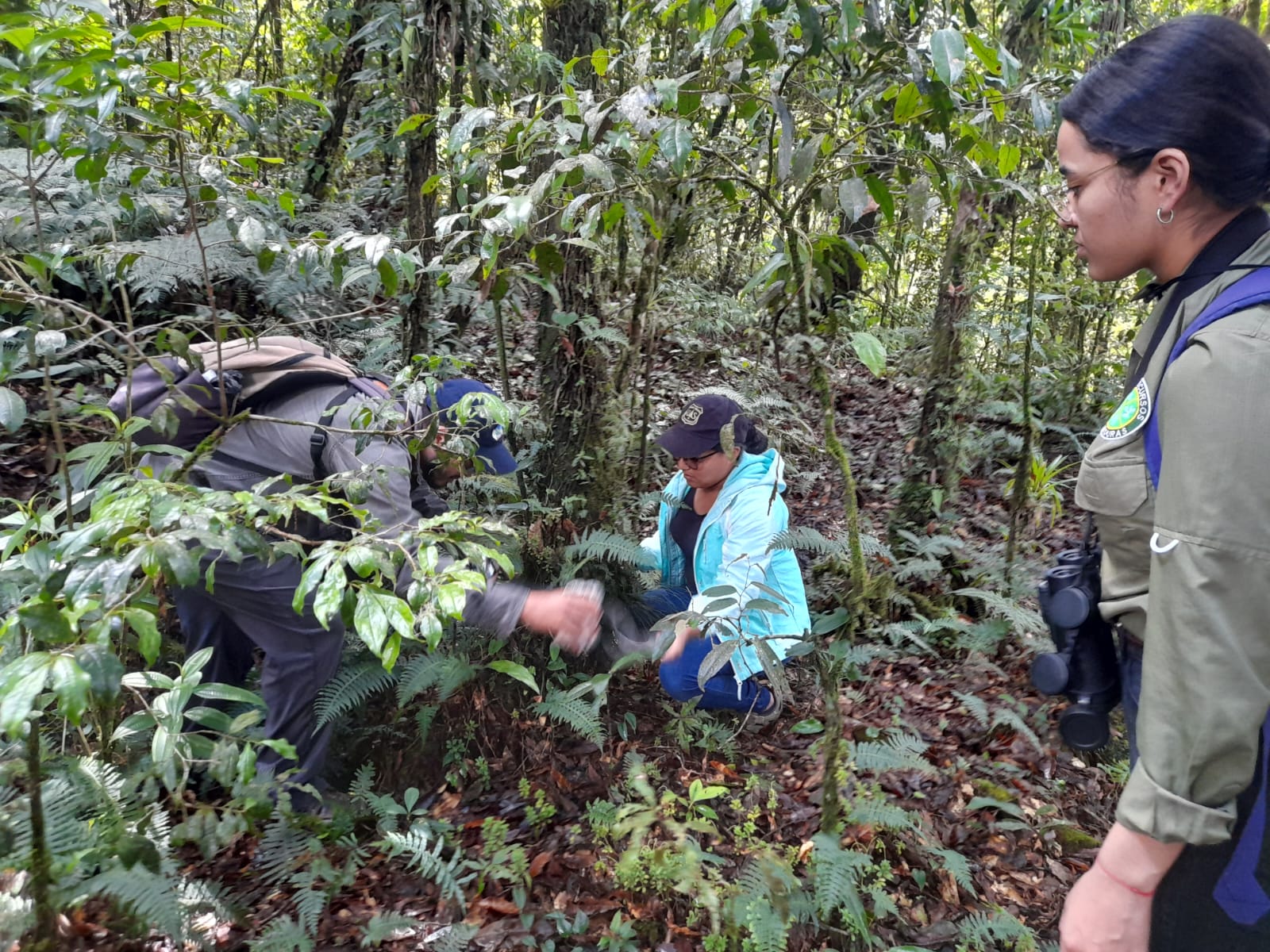 Monitoreo Biológico en Las Trancas, opatoro, La Paz, HN (5).jpeg