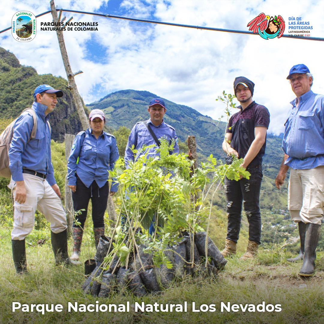 Parque Nacional Natural Los Nevados - Alejandro Sánchez.jpg