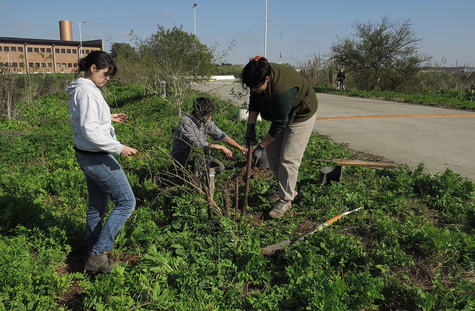 Trabajo de plantación con estudiantes voluntarios - Santa Catalina.jpg