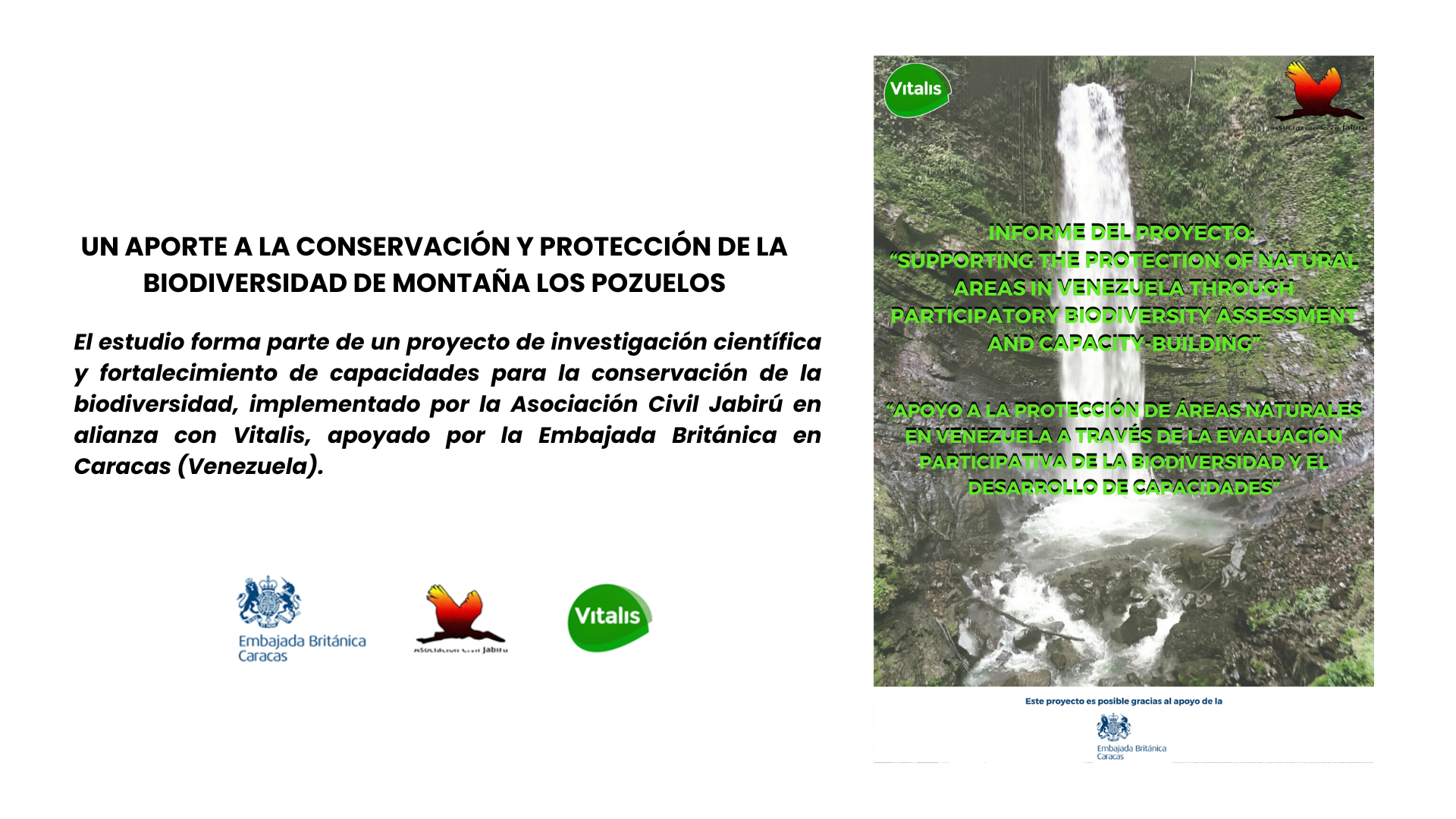 PROPUESTA WEB PROYECTO ASOCIACIÓN CIVIL JABIRU - VITALIS - EMBAJADA BRITÁNICA  (1).png