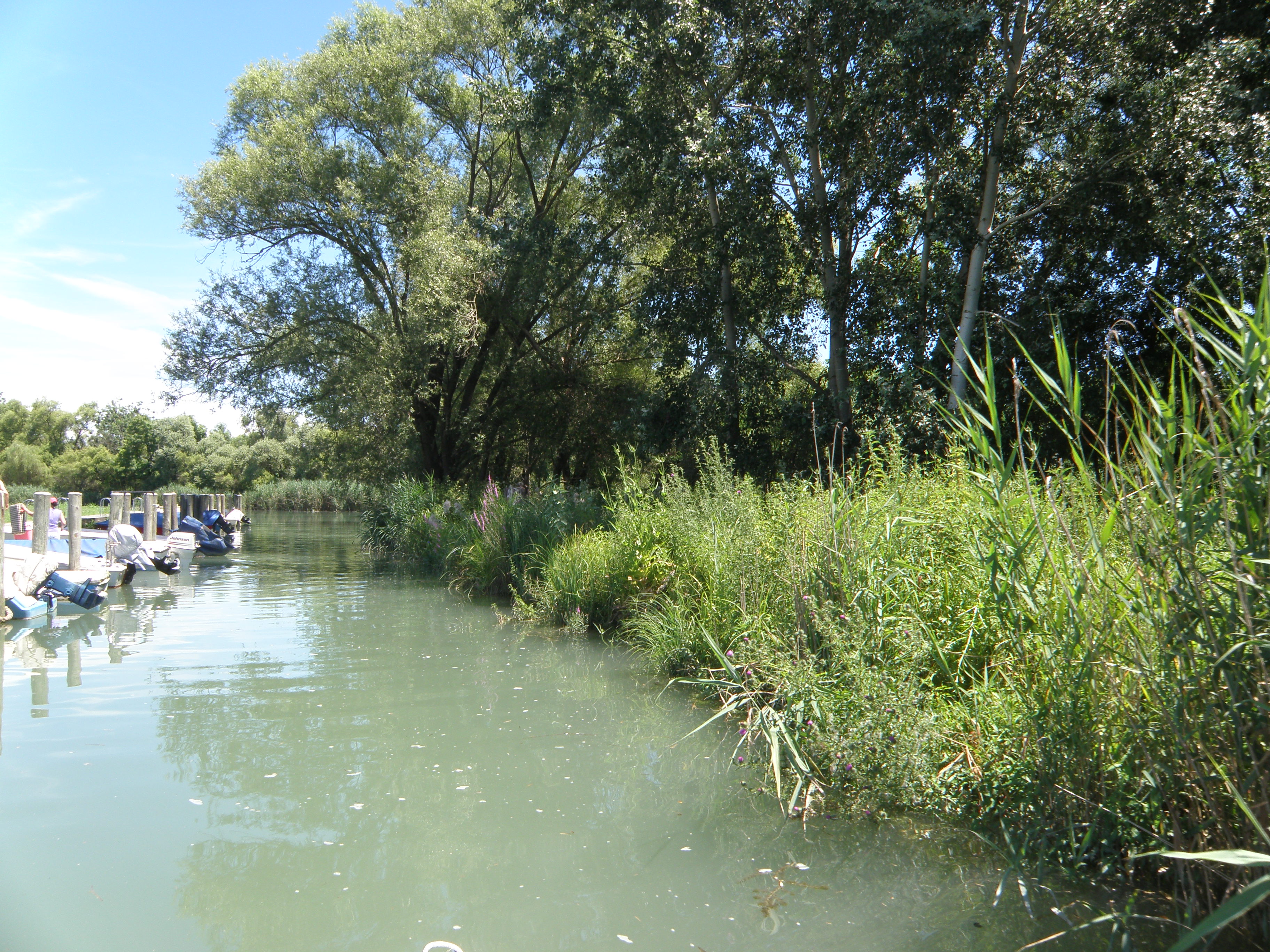 P7060024 darsena Muzzanella -Laguna Marano.JPG