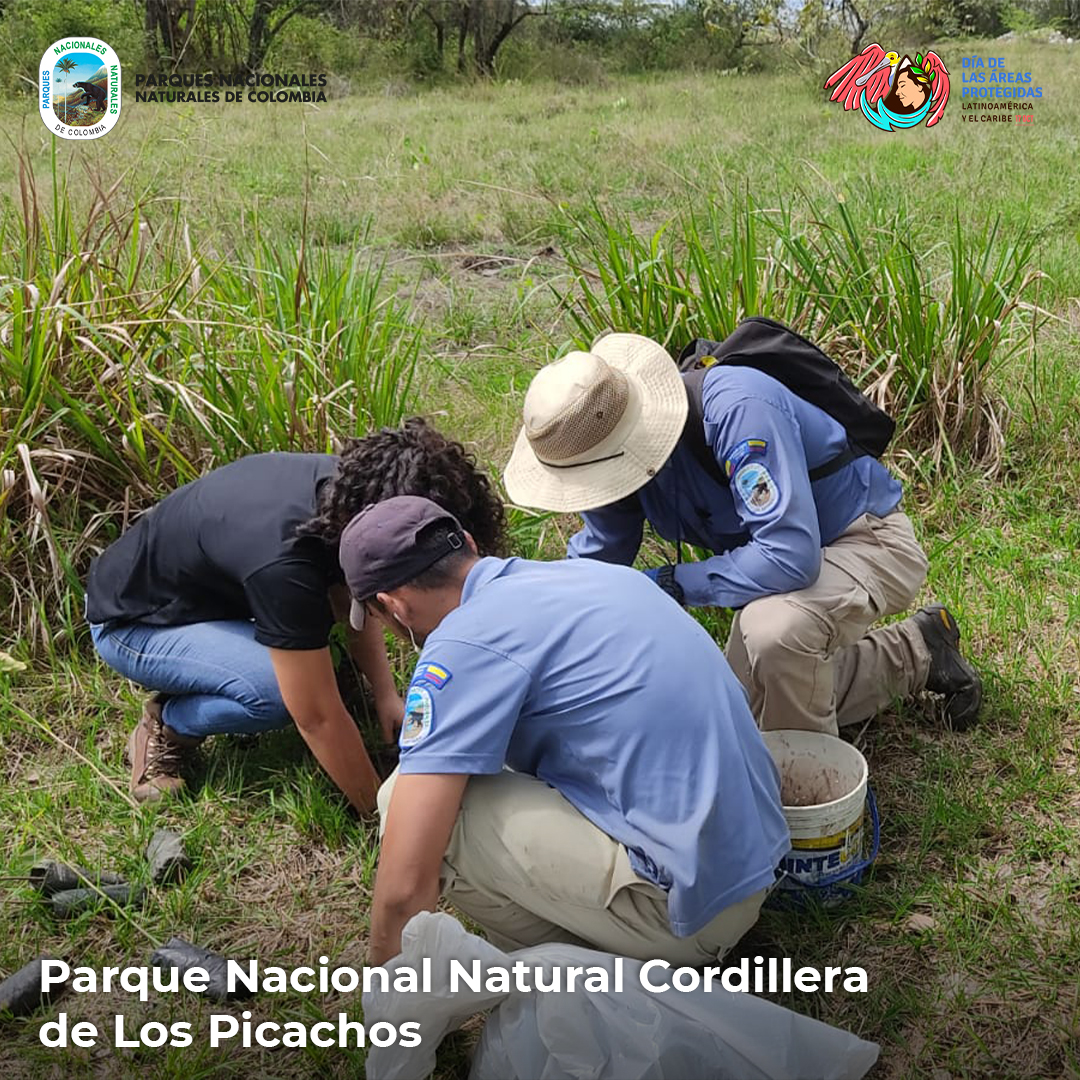 Parque Nacional Natural Cordillera de Los Picachos - Alejandro Sánchez.jpg