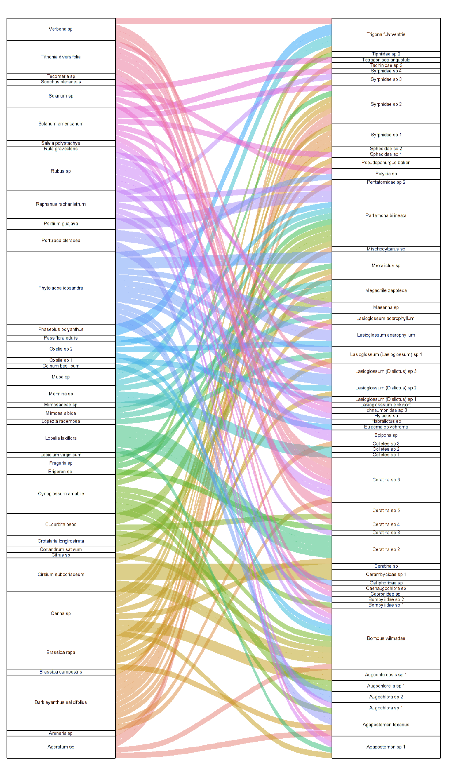 Sustainable farms plant-insect network.png