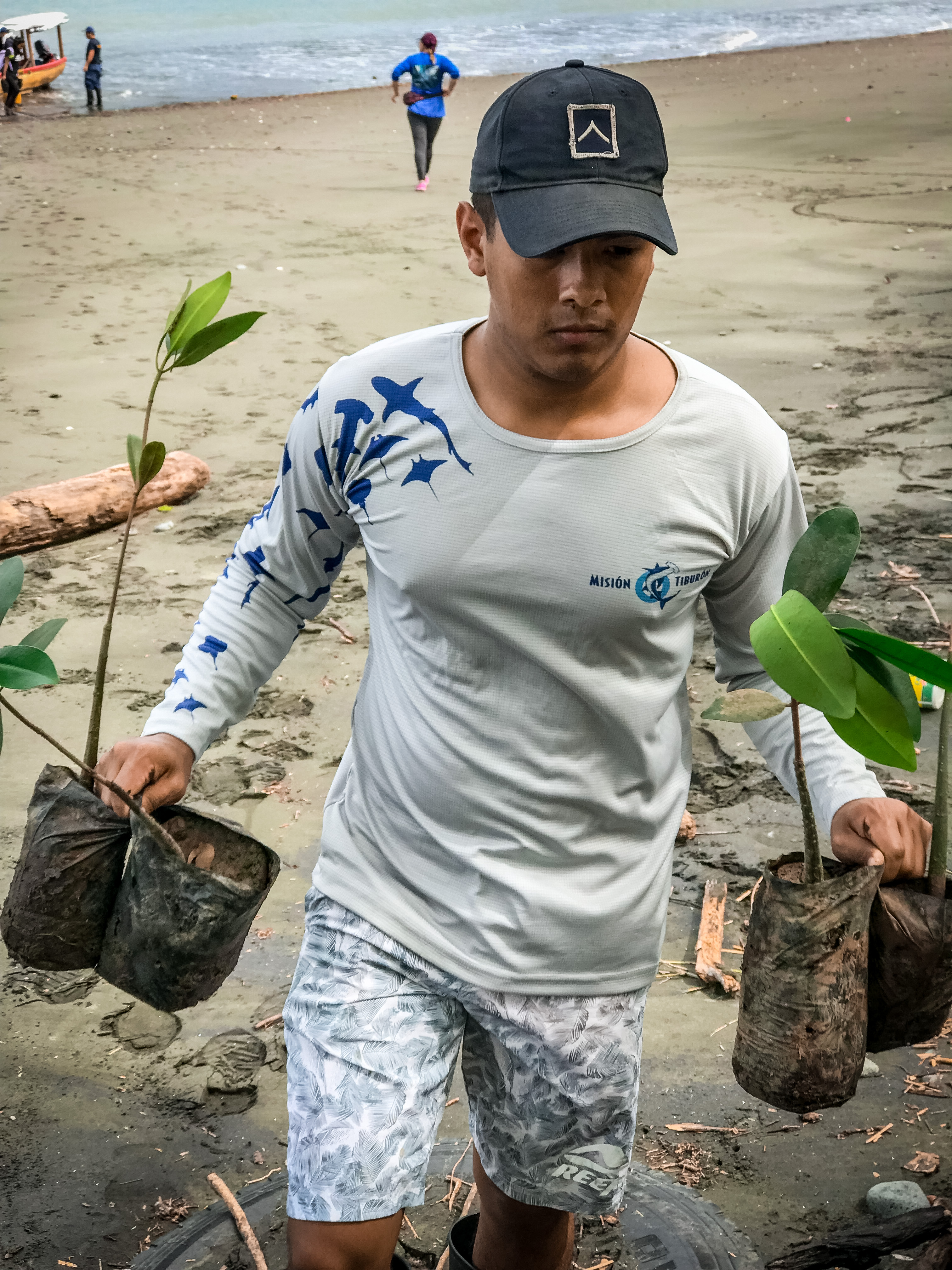 Shark Sanctuary Restoration (3).jpg