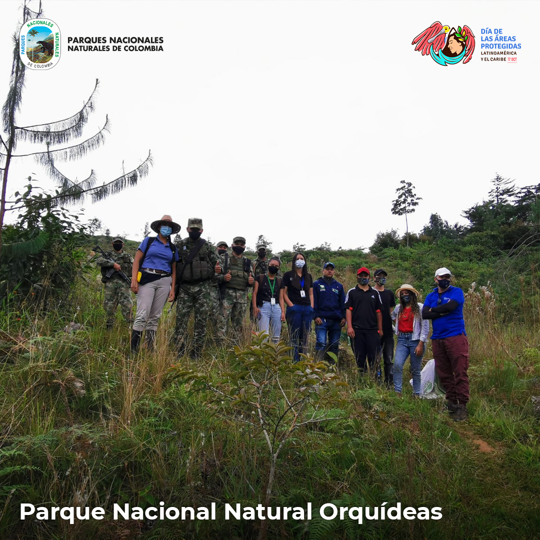 parque Nacional Natural Orquídeas - Alejandro Sánchez.jpg