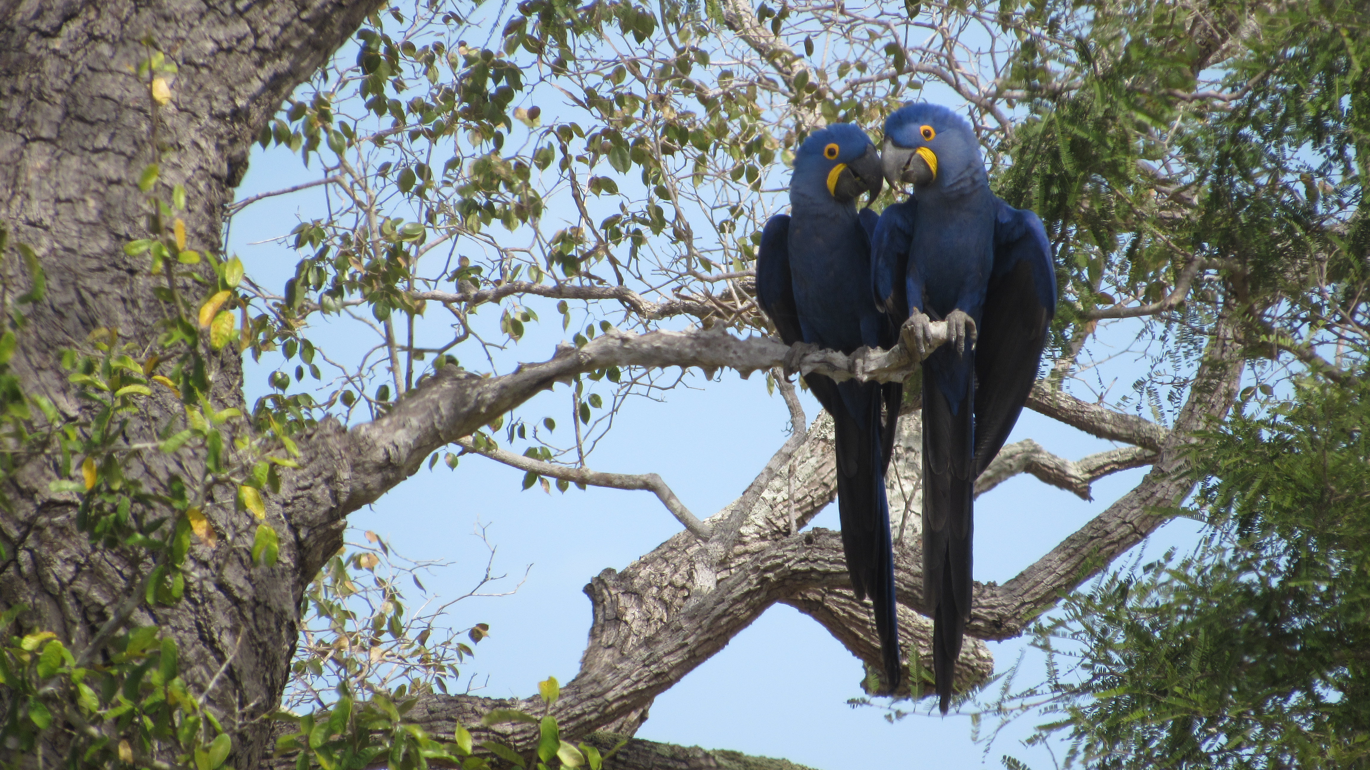 N 2356_AA_Casal do ninho_Photo-Maria Eduarda Monteiro.JPG