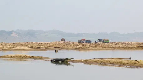 Sand Mining Threatens Riverine Ecosystems and Destroys Habitats of Endangered Wildlife Such as Gharial and Turtles. ©tarun Nair:wildlife Conservation Trust