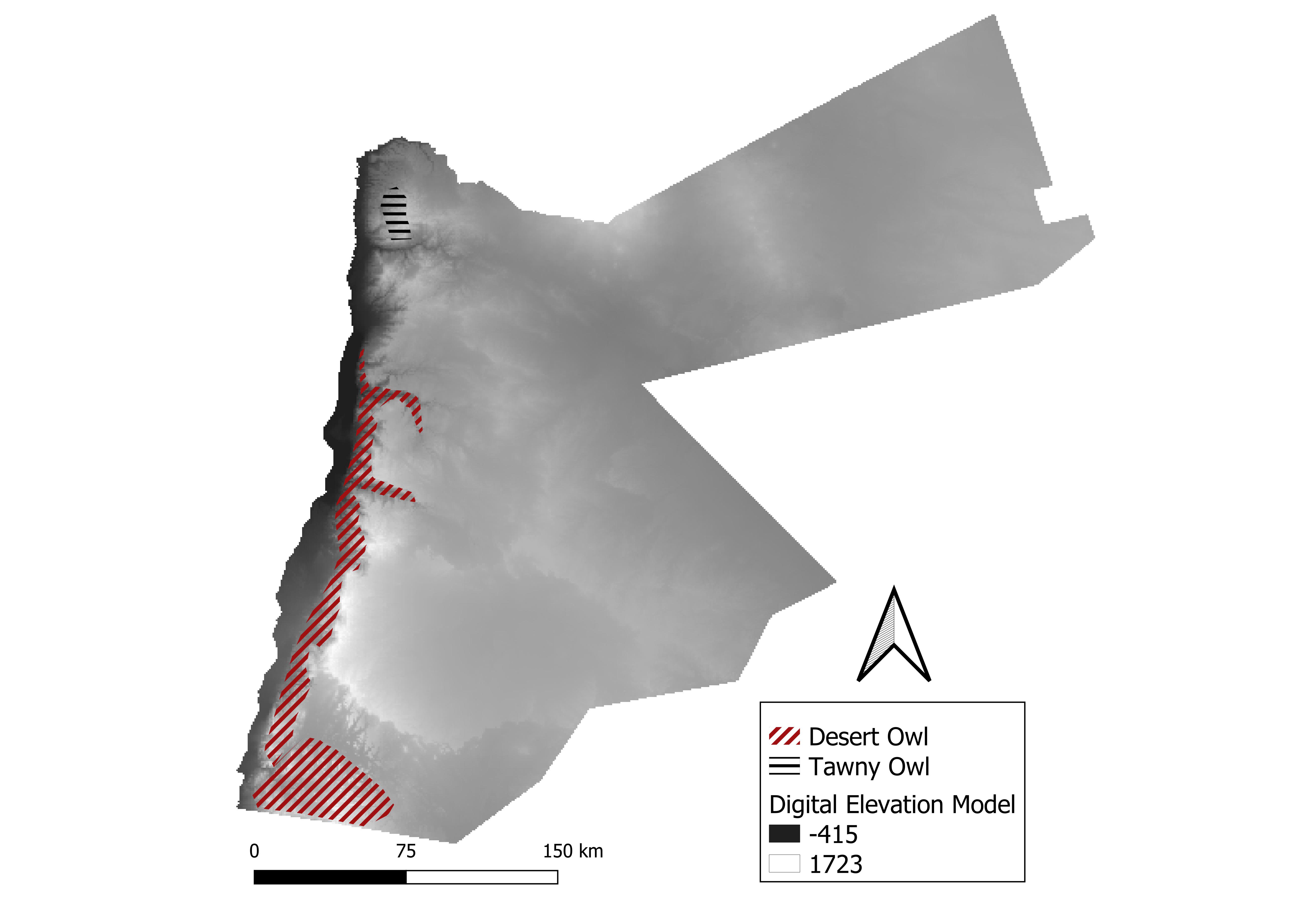 Fig 7 -Tawny and Desert Owls.jpg