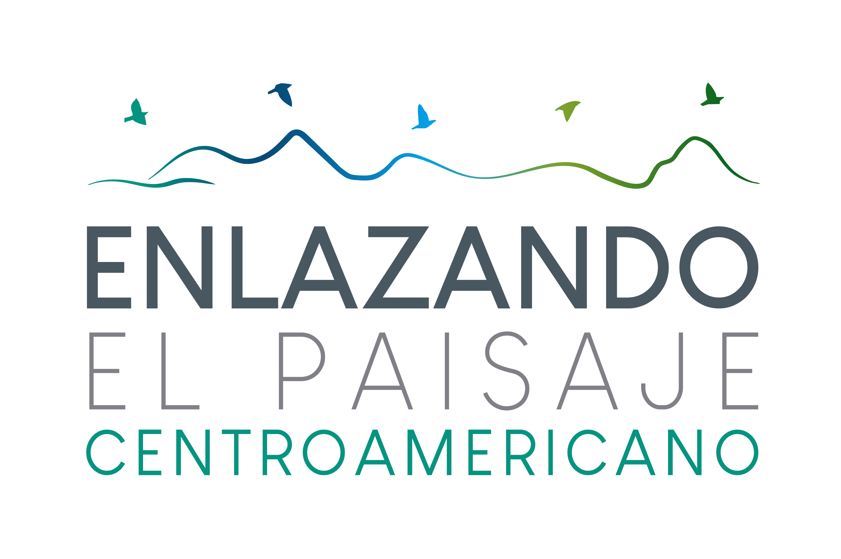 ENLANZADO_ISOLOGOTIPO_COLOR_1.jpg