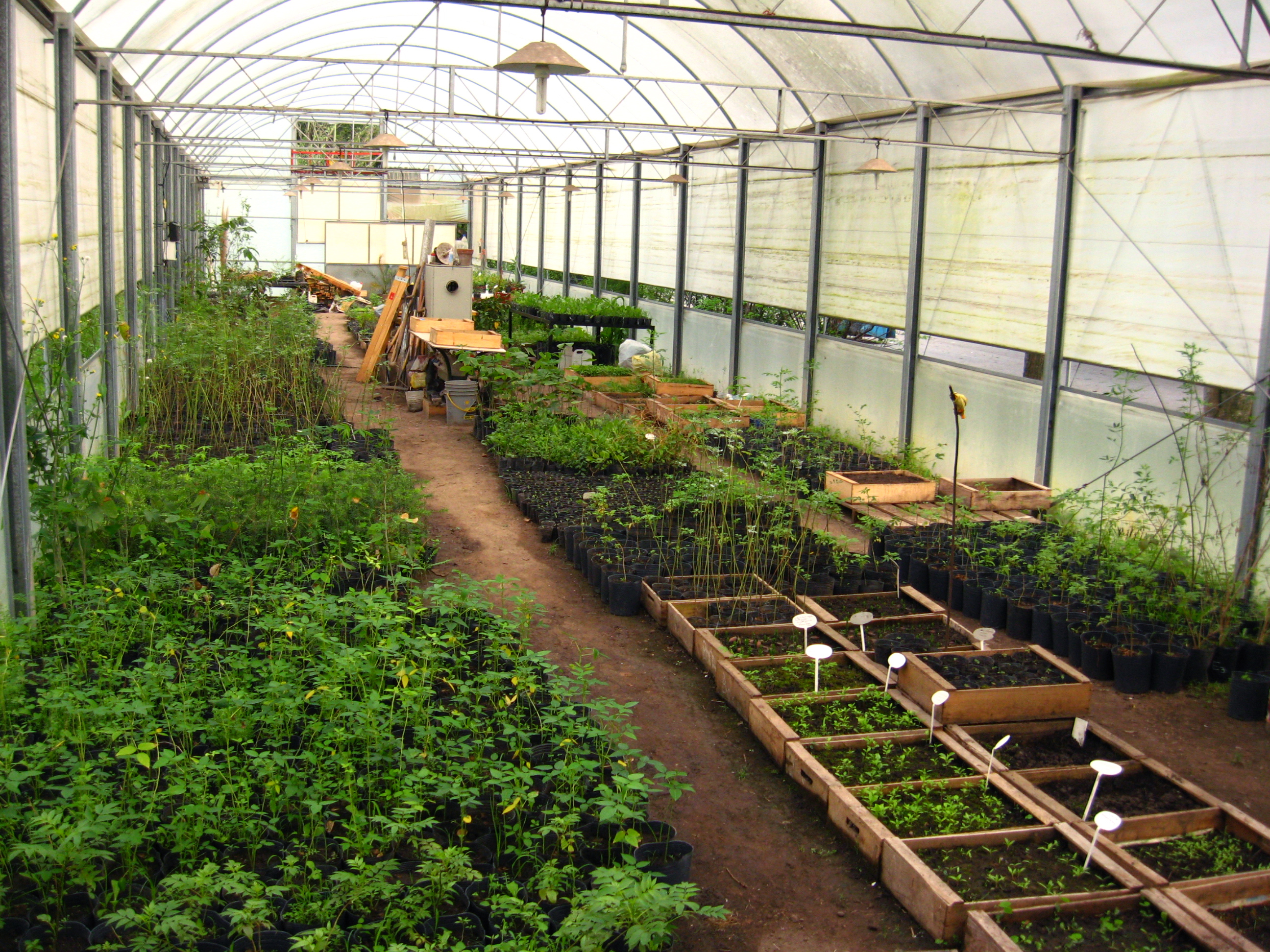 Vivero de Plantas Autóctonas de la Agrarias-UNLZ dentro de Santa Catalina .jpg