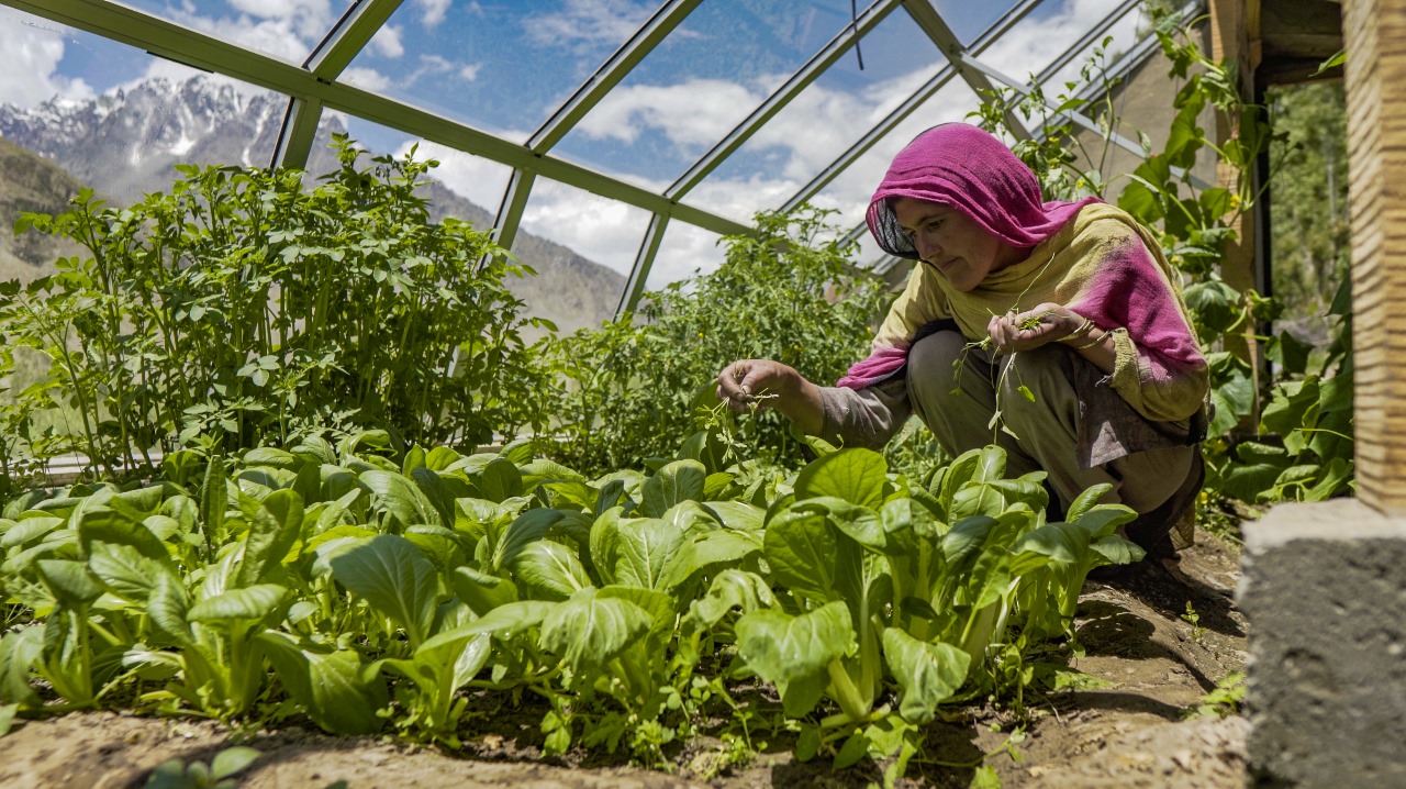 Passive Solar Greehouse Promotes Livelihood and Food Security